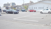 ケヤキ調剤薬局の駐車場