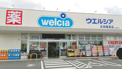 ウエルシア薬局　太田尾島店の外観