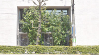 そうごう薬局　世田谷上町店の外観