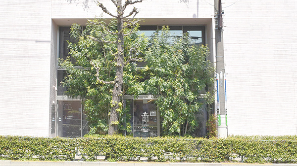そうごう薬局　世田谷上町店の外観