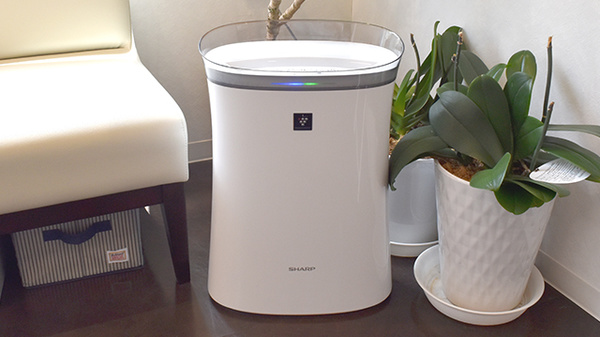 くすりのおうち湘南薬局の感染予防対策