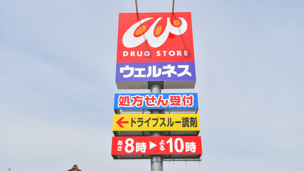 ウェルネス薬局大東店の看板