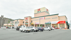 レデイ薬局佐古店の外観