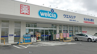 ウエルシア薬局前橋六供町店の外観