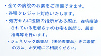 新生堂薬局　国府店の対応サービス一覧
