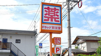 新生堂薬局　国府店の看板