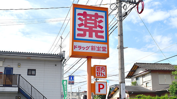 新生堂薬局　国府店の看板