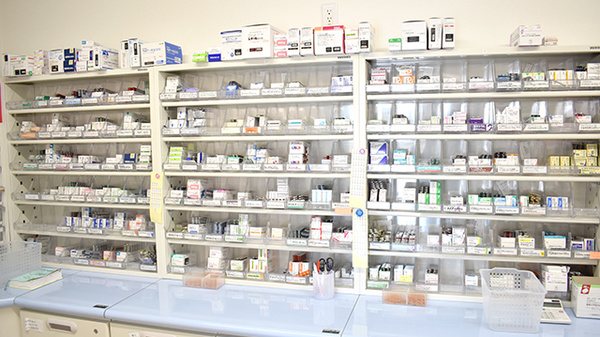 花・花薬局北茂呂店の薬棚