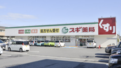 スギ薬局　能登川店の外観