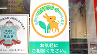 スギ薬局　日本大通り店の認知症サポーター