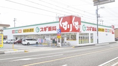 スギ薬局　岐阜城東店の外観