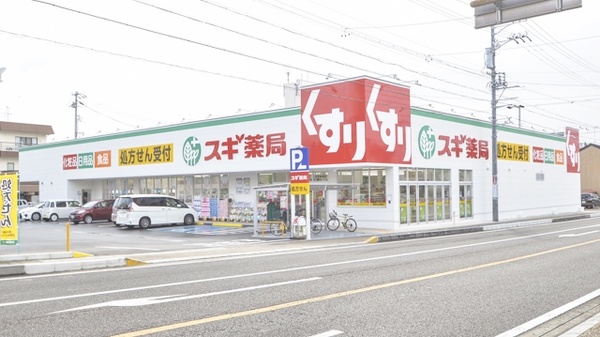 スギドラッグ 岐阜城東店 スギドラッグ 岐阜城東店