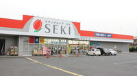 セキ薬局　新河岸店の外観