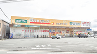 調剤薬局ツルハドラッグ江頭エーザイ店の外観