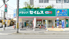 セイムス　堺東湊薬局の外観