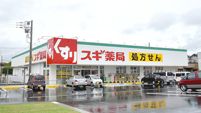 スギ薬局　岩槻店の外観