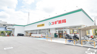 スギ薬局　尼崎西立花店の外観