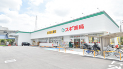 スギ薬局　尼崎西立花店の外観
