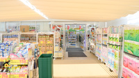 スギ薬局　千本三条店の入口