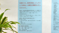楓の木調剤薬局のジェネリック対応