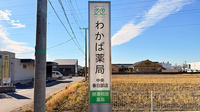 わかば薬局　中央春日部店の看板