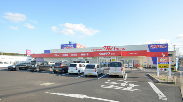 ウェルネス薬局斐川店の外観