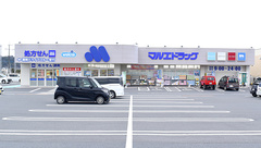 マルエ薬局　高崎吉井バイパス店の外観