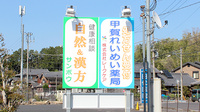 甲賀れいめい薬局の看板