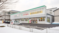 スギ薬局 元車店の外観