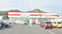 レデイ薬局道後樋又店の外観