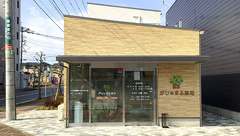 がじゅまる薬局の外観