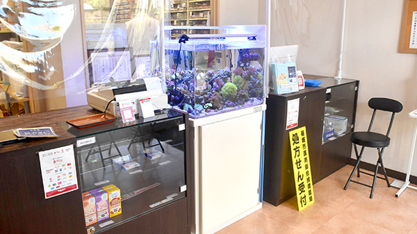受付/カウンター