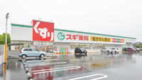 スギ薬局　南富山店の外観