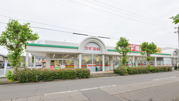 スギ薬局　敦賀南店の外観