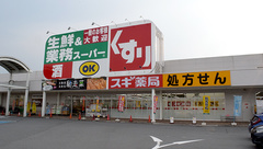 スギ薬局　南生駒店の外観