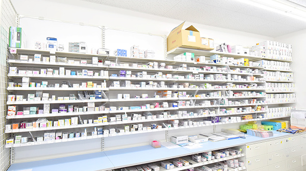 大賀薬局 新宮店の薬棚