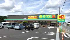 杏林堂薬局　伊左地店の外観