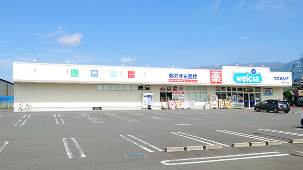 ウエルシア薬局秦野平沢店の外観
