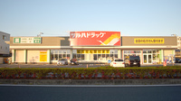 調剤薬局ツルハドラッグ南国中央店