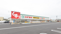 スギ薬局　犬山中央店の外観