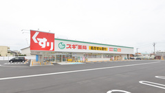 スギ薬局　犬山中央店の外観