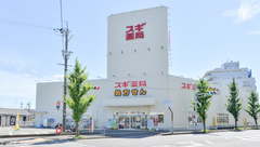 スギ薬局　桂五条店の外観