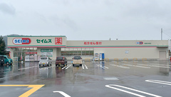 セイムス　海南名高薬局の外観