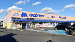マルエ薬局　高崎下小鳥店の外観