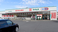 ドラッグセイムス見沼風渡野薬局の外観
