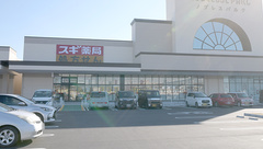 スギ薬局 袋井南店の外観