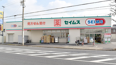 ドラッグセイムス川崎矢上薬局