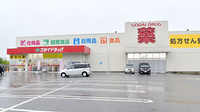 ゴダイ薬局 城北新町店の外観