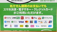 ドラッグセイムス西村山薬局のクレカ/電子マネー/スマホ決済対応