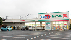 ドラッグセイムス川口天神橋薬局の外観